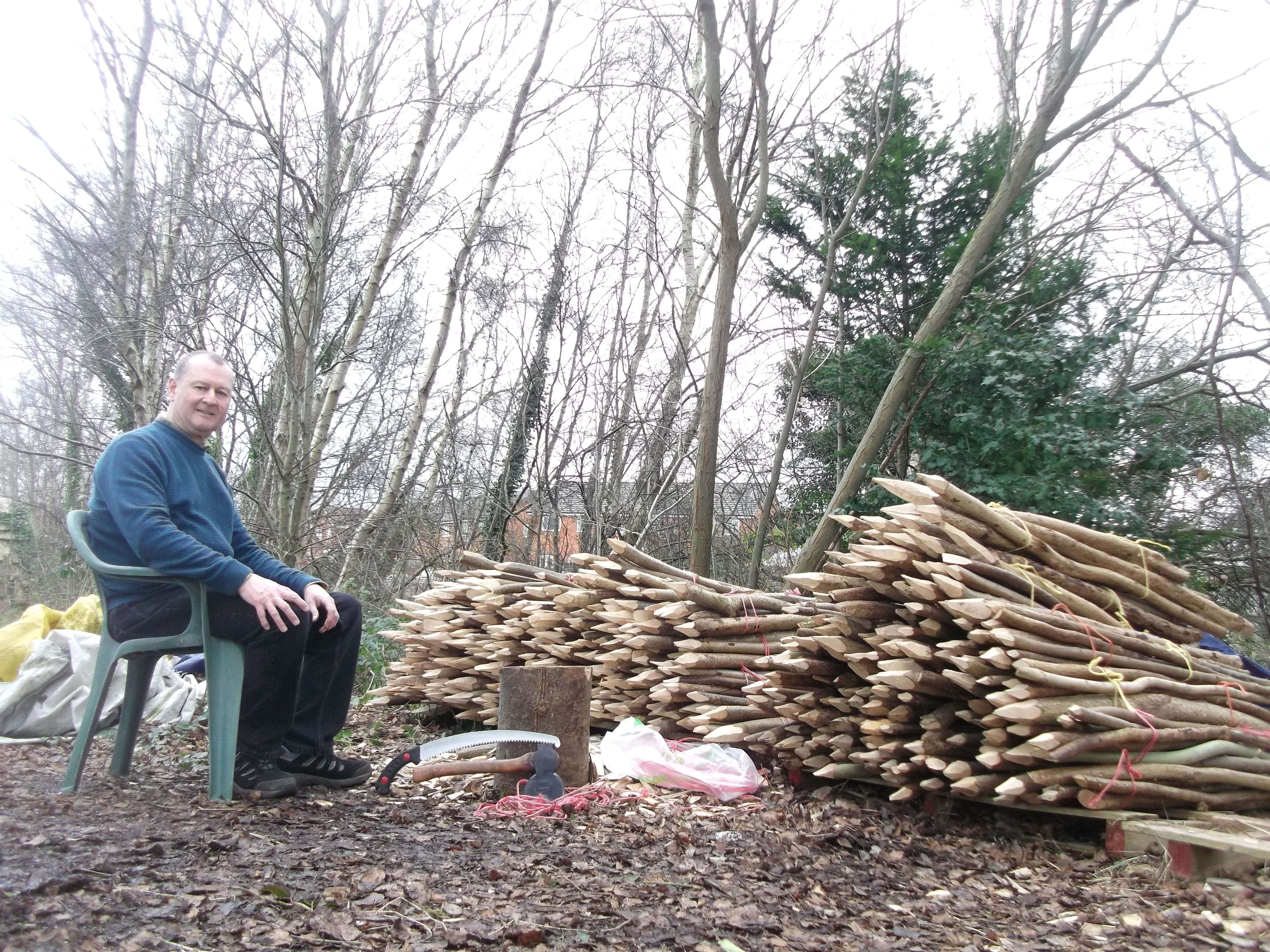 NFBP hedgelaying stake production5